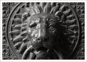 11 Domdetails - Der Kölner Dom in Detailansichten Postkarten Edition im Umschlag